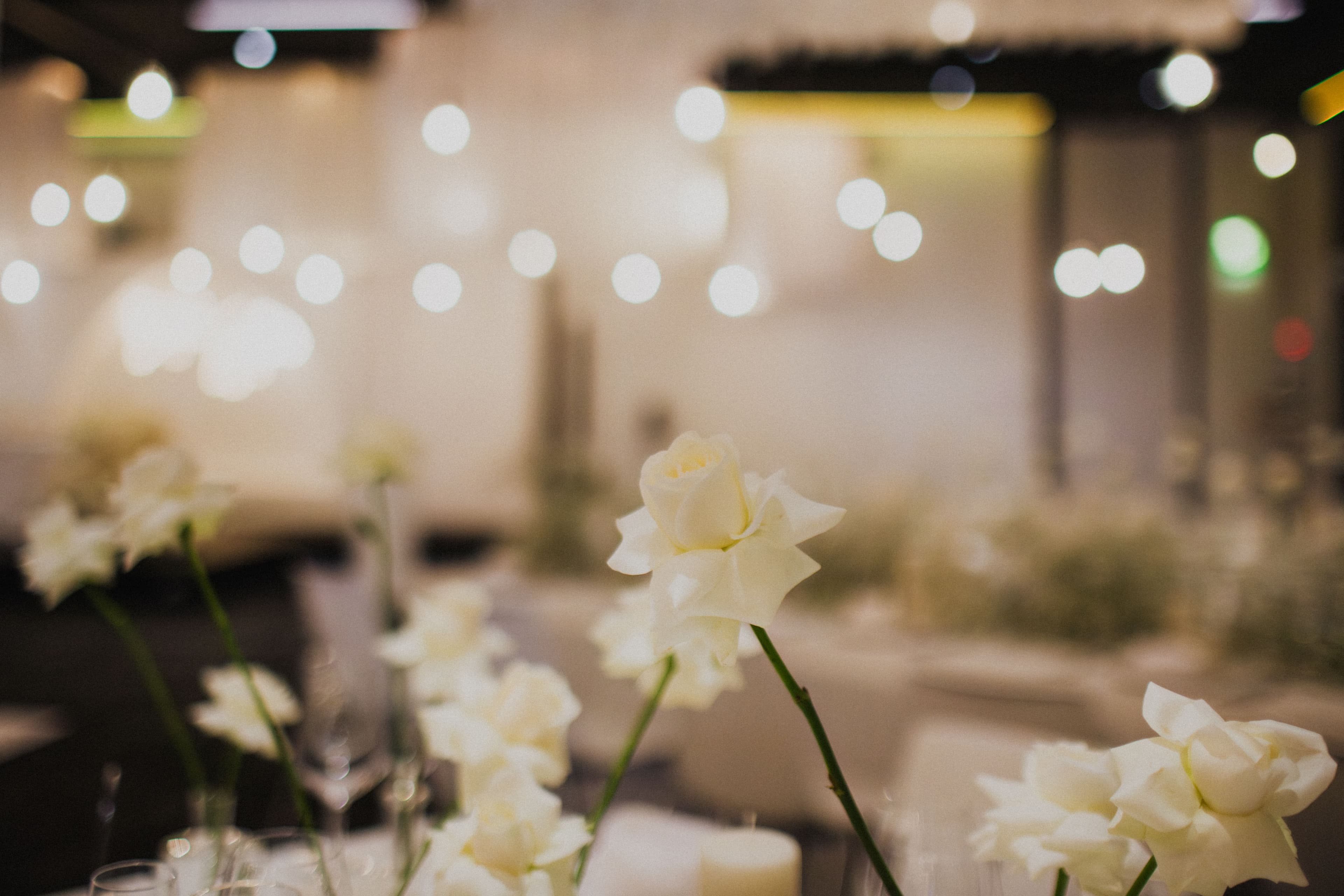 CELEBRATIONS & EVENTS